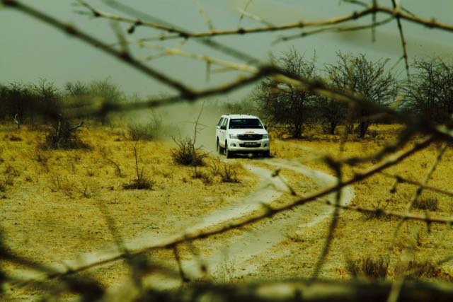 Dodelijk ongeval bij Safari rally