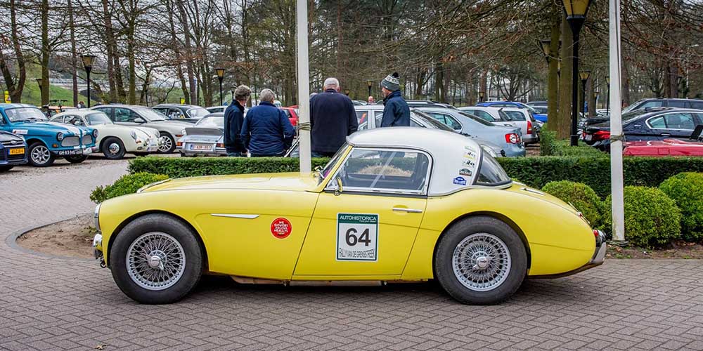 3 healey